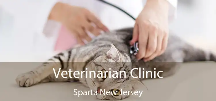 Veterinarian Clinic Sparta New Jersey