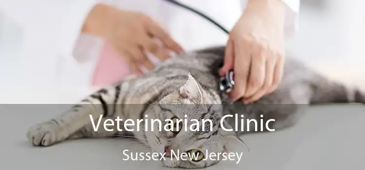 Veterinarian Clinic Sussex New Jersey