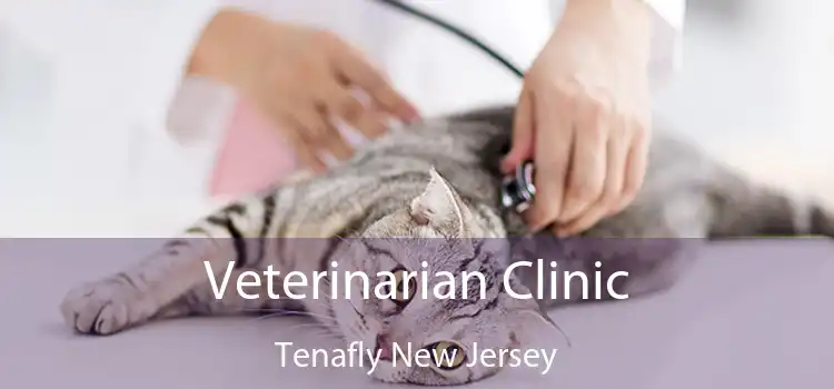 Veterinarian Clinic Tenafly New Jersey