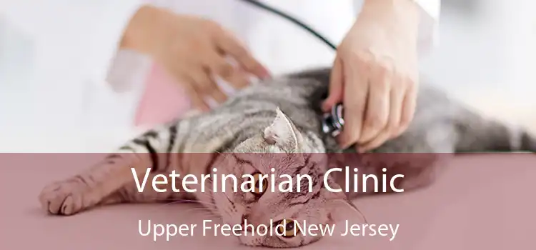 Veterinarian Clinic Upper Freehold New Jersey