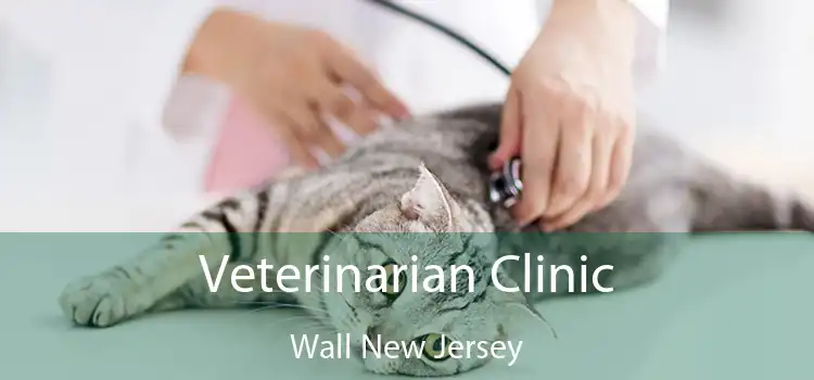 Veterinarian Clinic Wall New Jersey