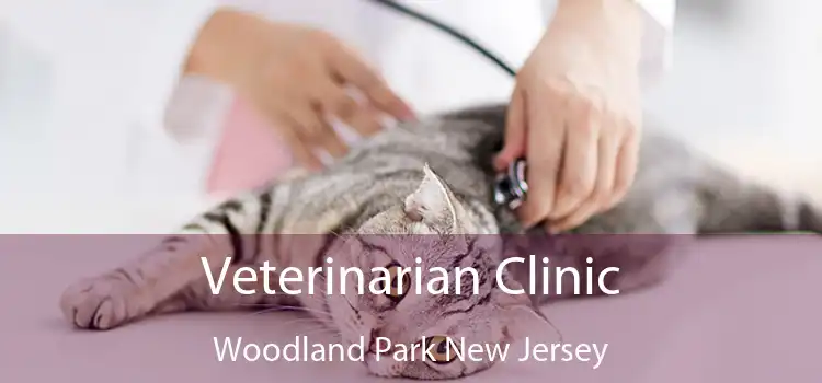 Veterinarian Clinic Woodland Park New Jersey