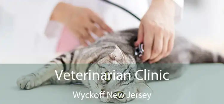 Veterinarian Clinic Wyckoff New Jersey